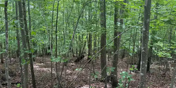 Image 3 Image 3