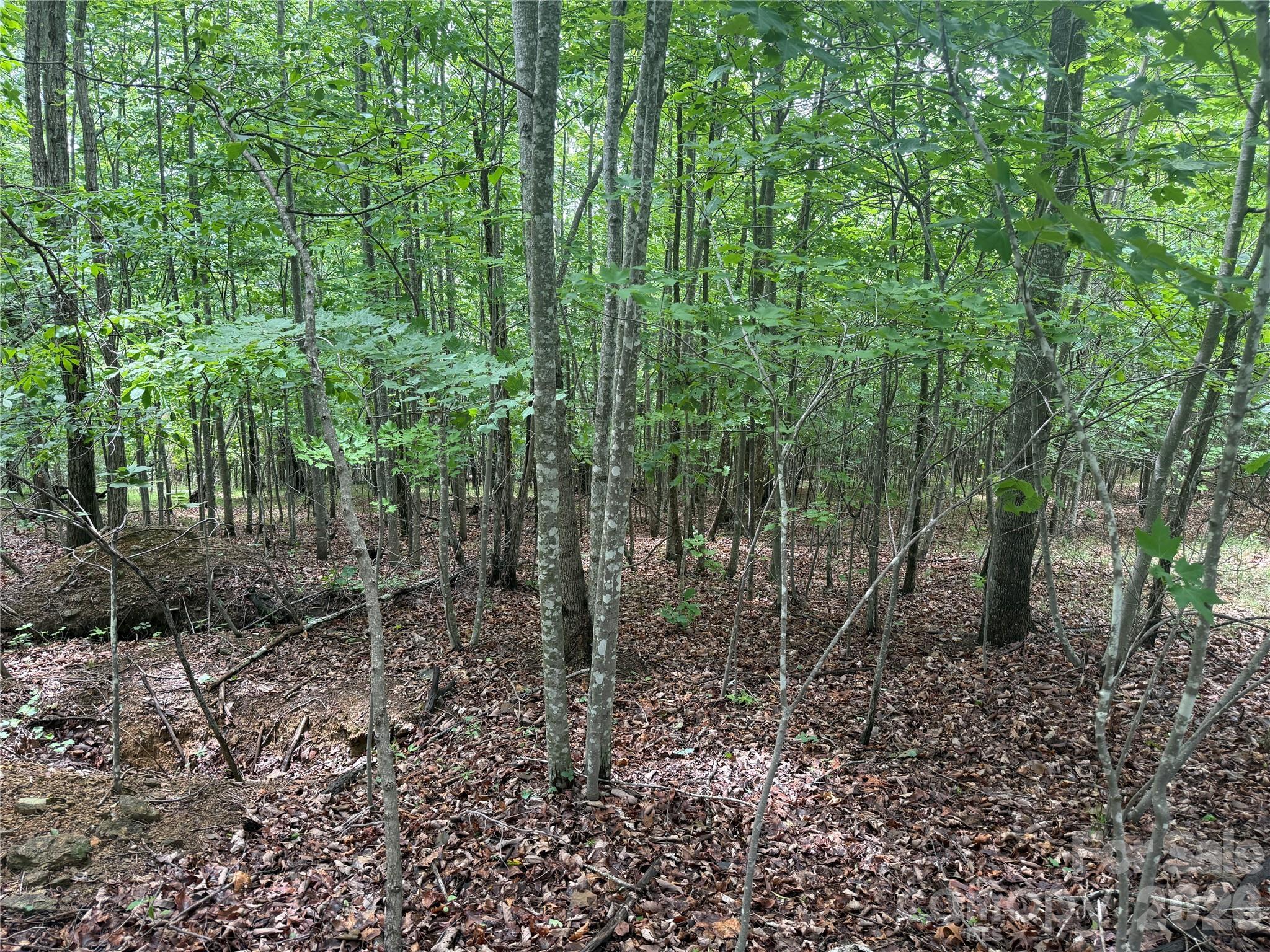 Image 4 Image 4