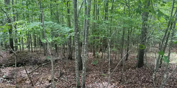 Image 4 Image 4