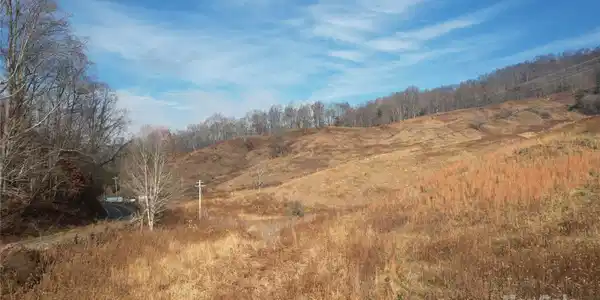 Image 4 Image 4