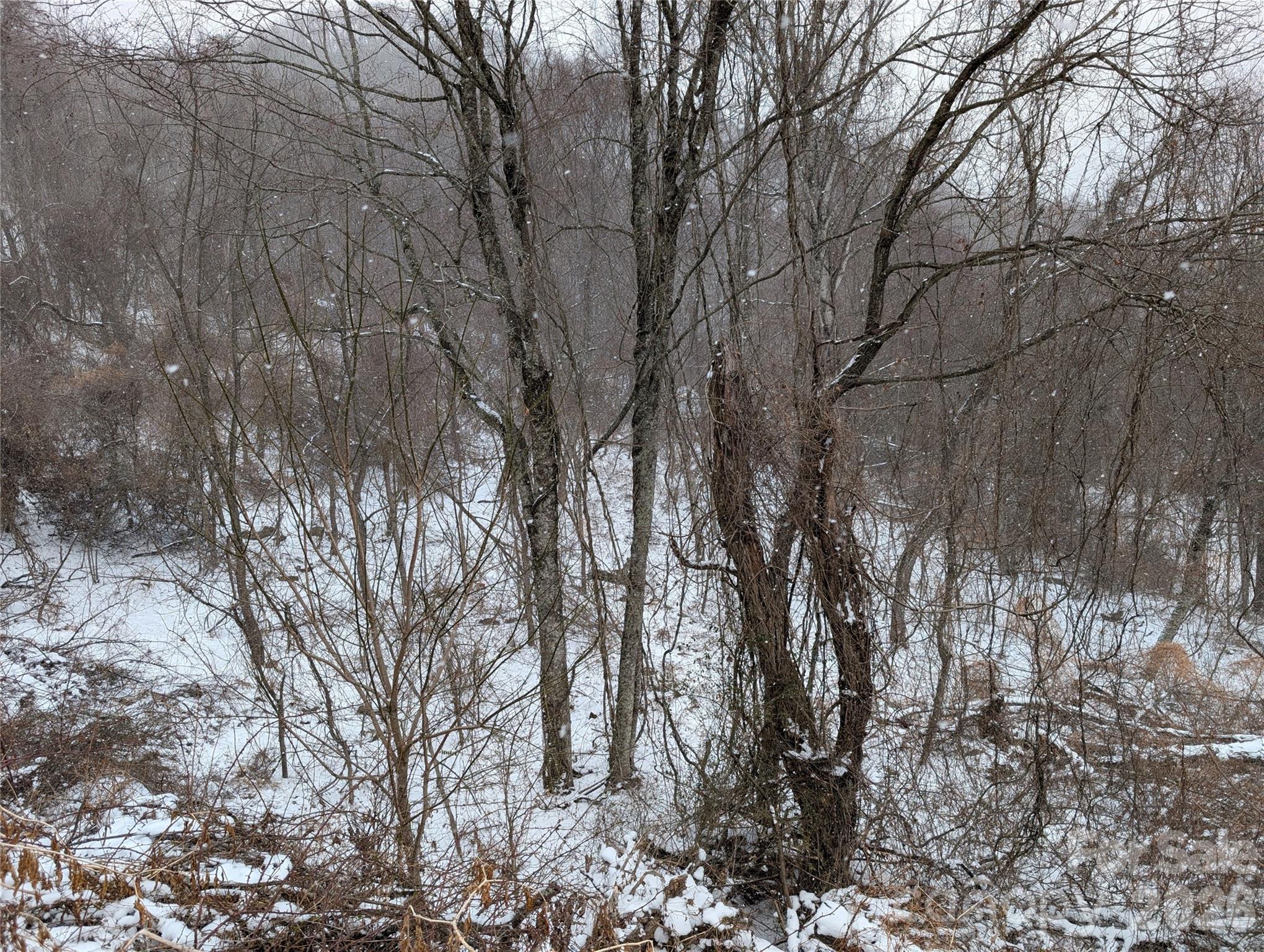 Image 4 Image 4