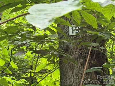 Lot 19 Iga Trail