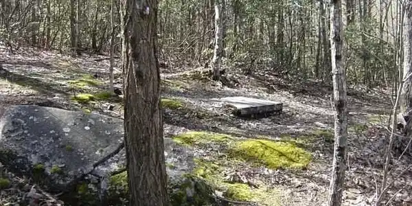 Image 3 Image 3