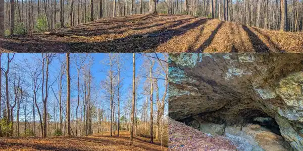 000 Bear Mountain Ridge