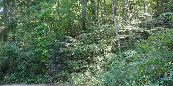 Image 4 Image 4