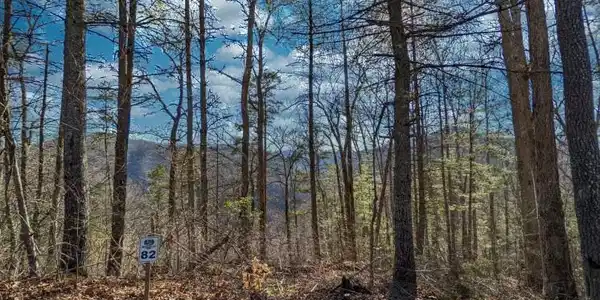 82 Bear River Lodge Trail