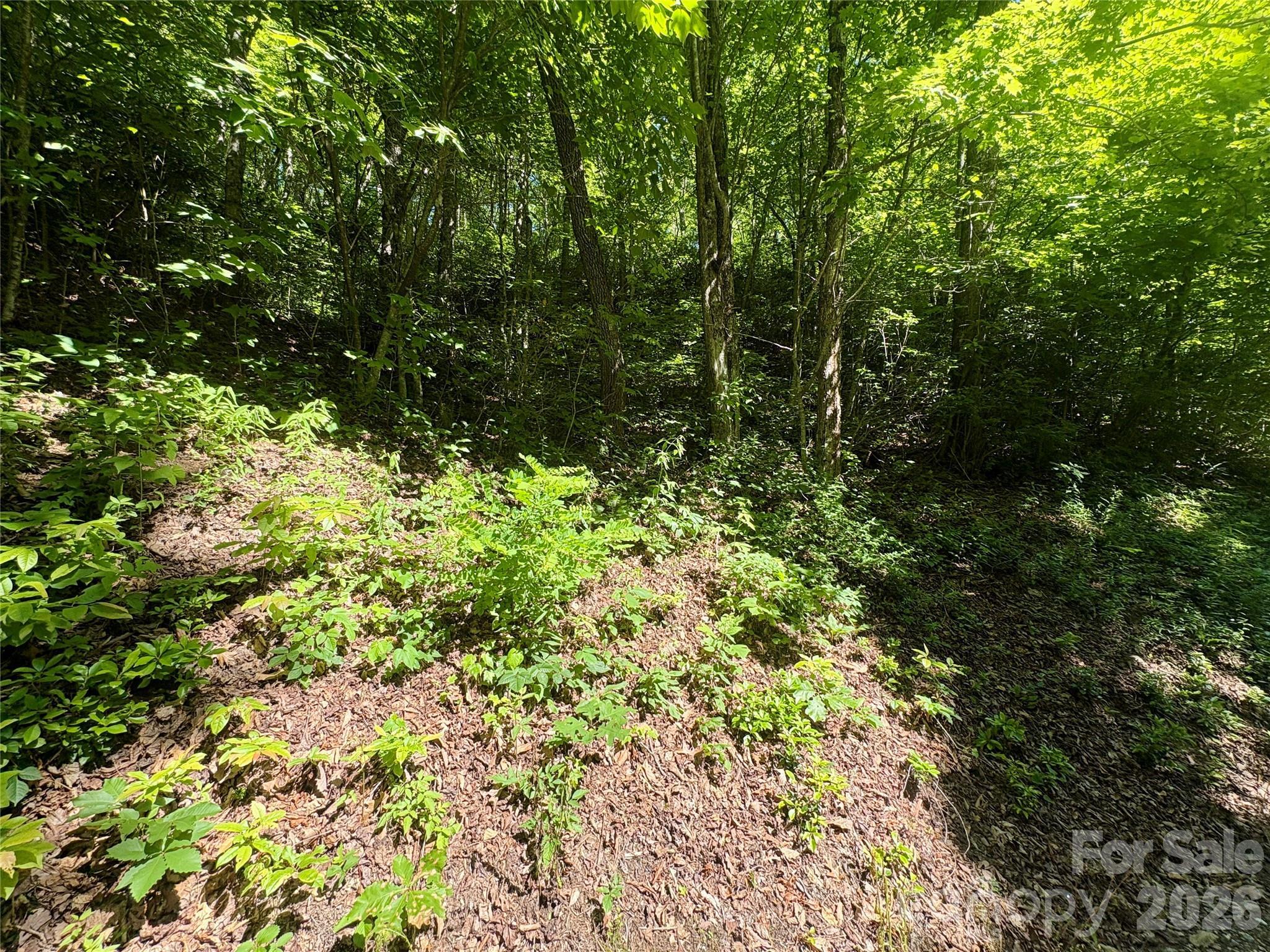 Image 4 Image 4