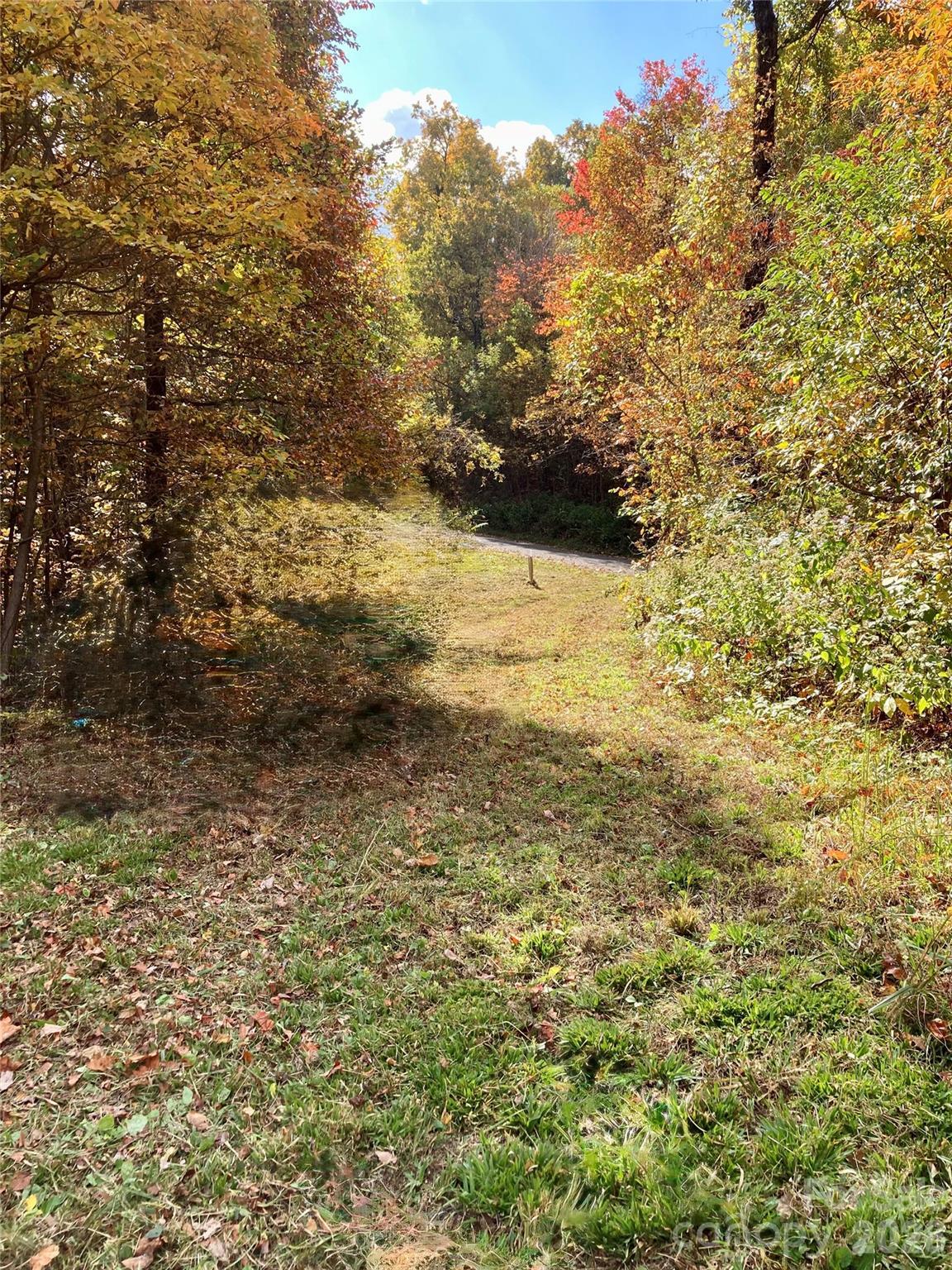 Image 3 Image 3