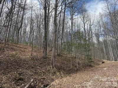 158 Chattooga Run