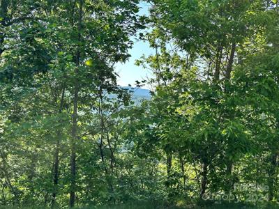 385 Wild River Run