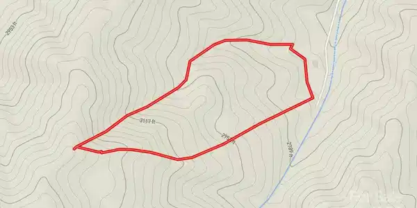 Image 4 Image 4