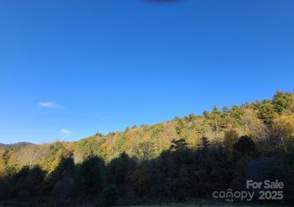 Tracts 2A & 2B Rabbit Skin Road