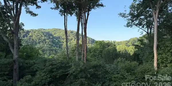 Image 4 Image 4