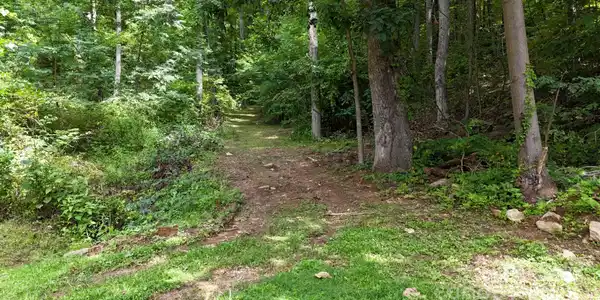 Image 2 Image 2