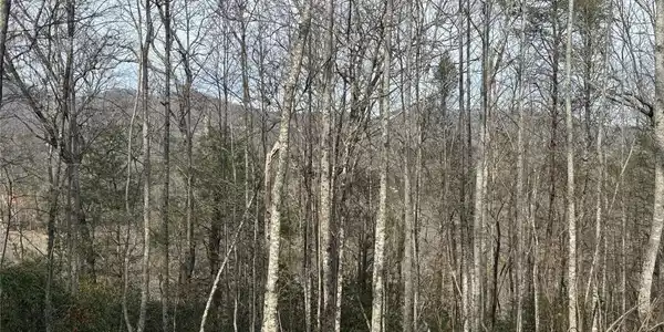 Image 4 Image 4