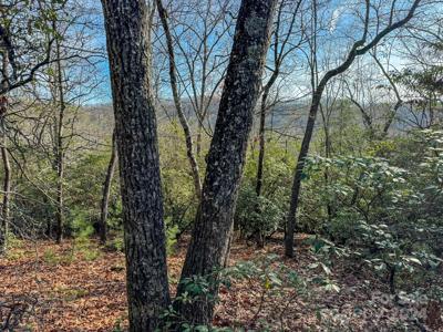 Tract 1 Dave Whitaker Road
