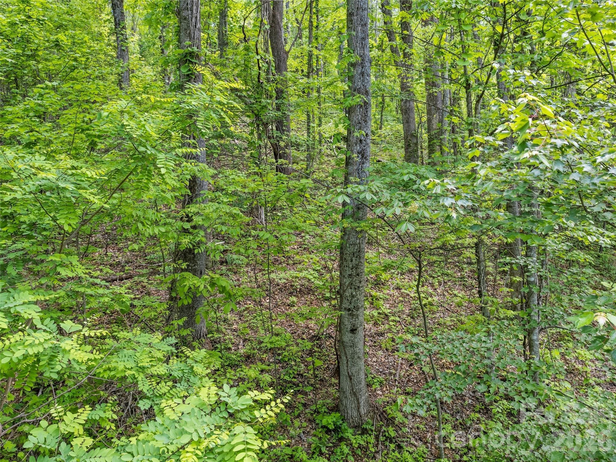 Image 4 Image 4