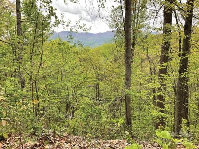 00 Eagles Nest Road
