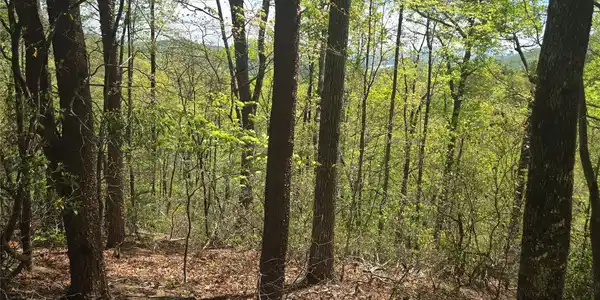 Image 4 Image 4