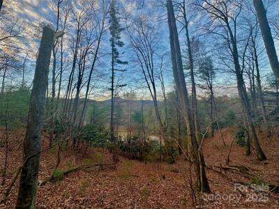TBD Bare Hollow Road