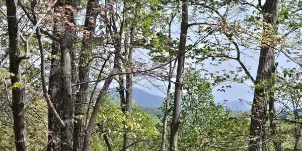Image 3 Image 3