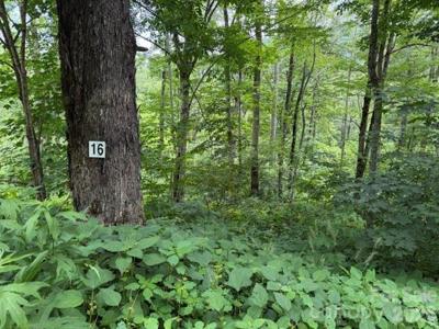 Lot 16 Iga Trail