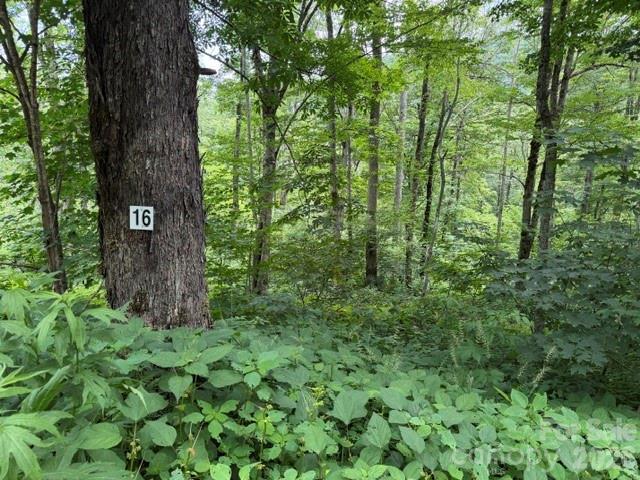 Image 1 Image 1
