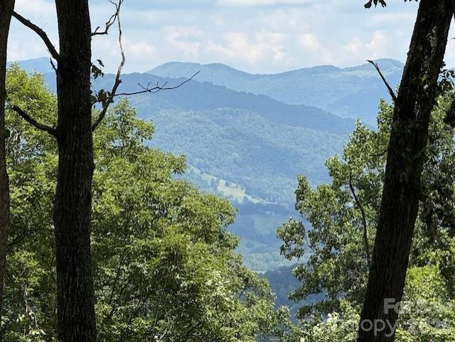 Image 1 Image 1