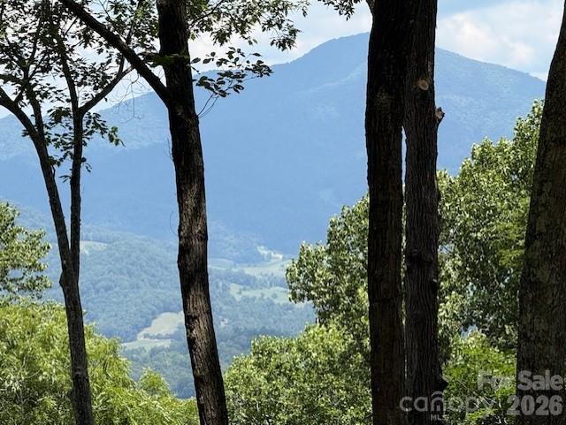 Image 2 Image 2
