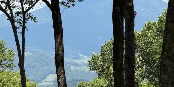 Image 2 Image 2