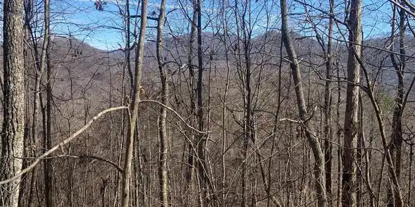 TBD Ashe Branch View