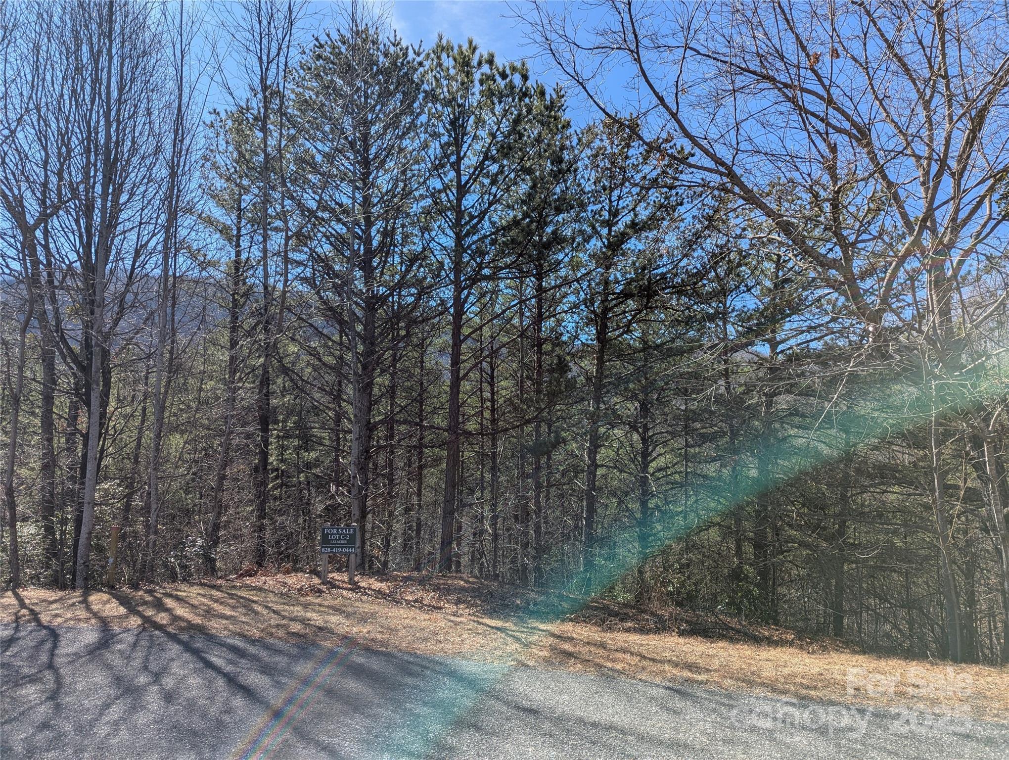 Image 4 Image 4