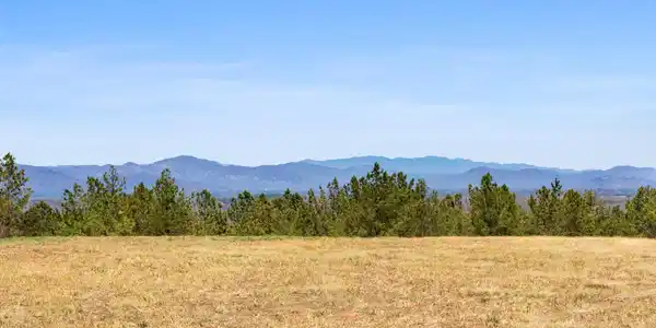 TBD Williams Loop