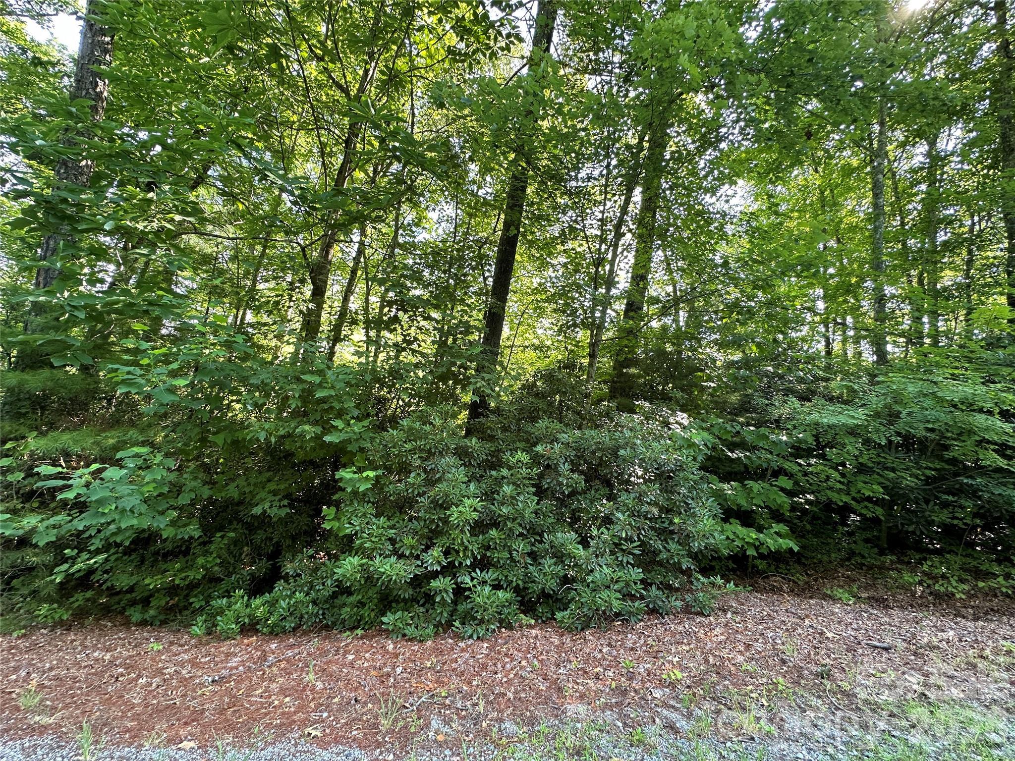 Image 3 Image 3