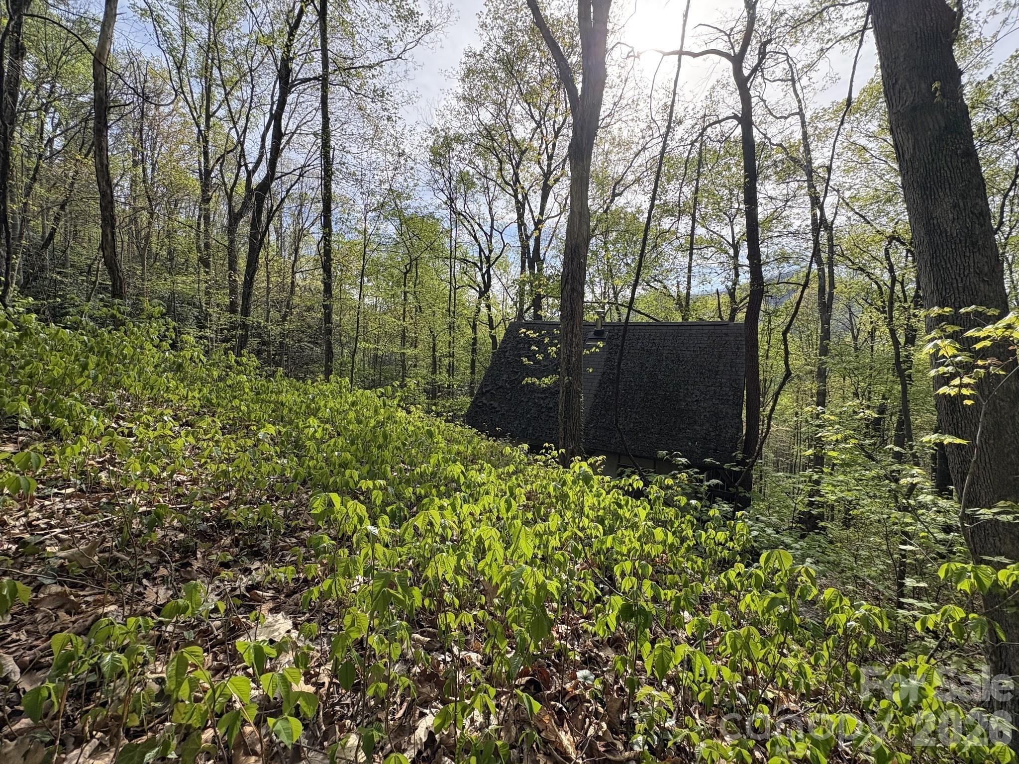 Image 1 Image 1