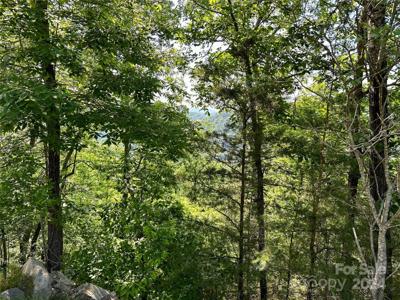 387 Wild River Run