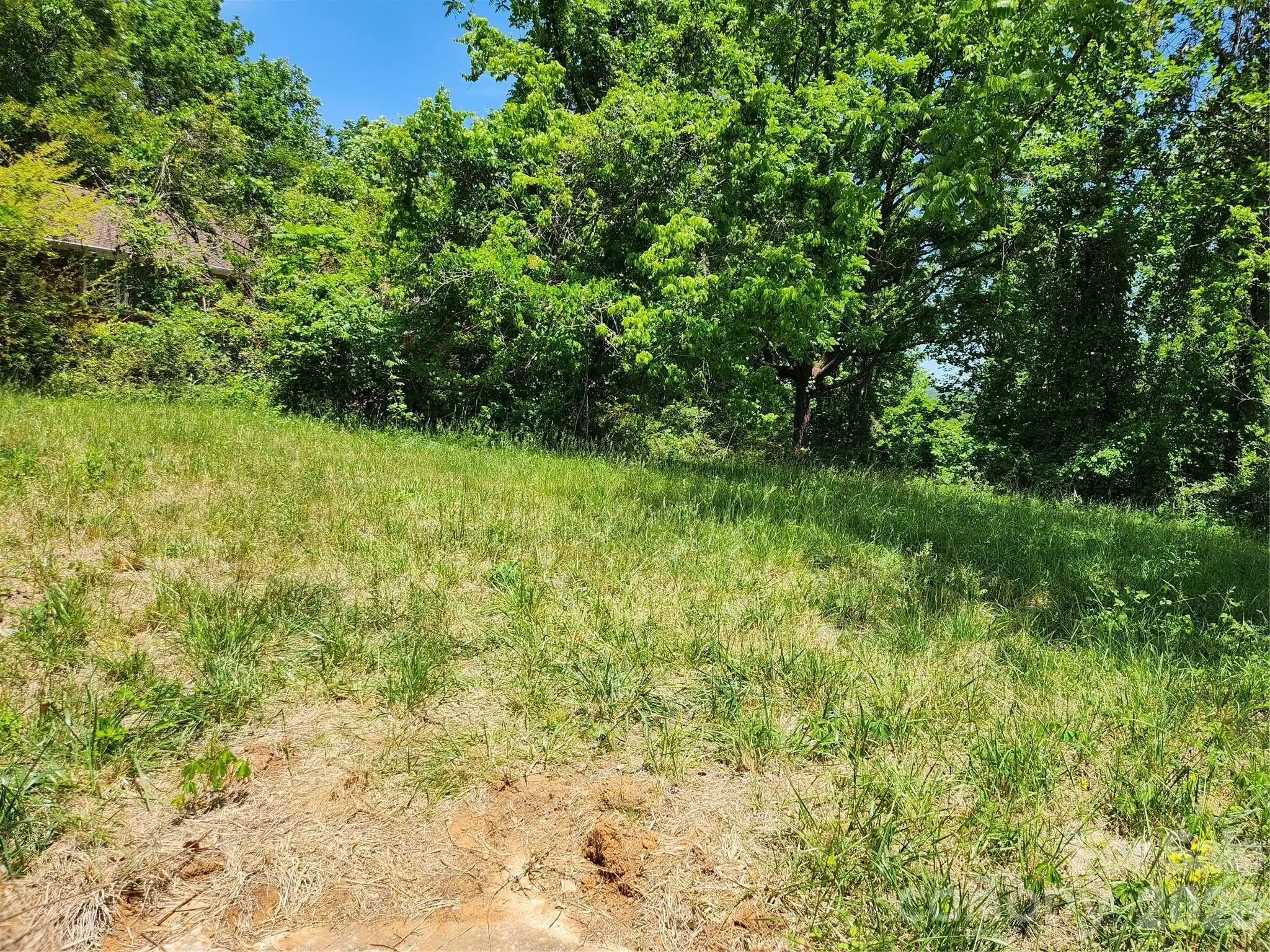 Image 1 Image 1