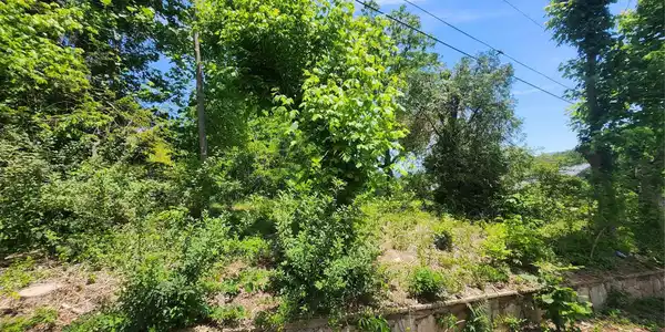 Image 4 Image 4