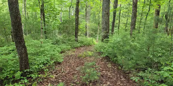 Image 3 Image 3