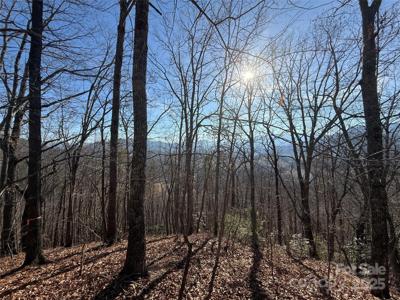 11 Lots Brer Rabbit Trail
