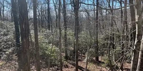 Lot 79 Arrowhead Trail