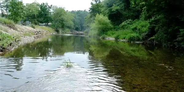 Image 4 Image 4