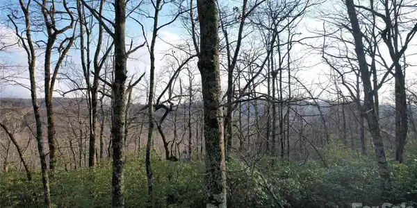 Image 4 Image 4