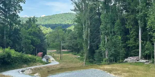 97 Yale Road