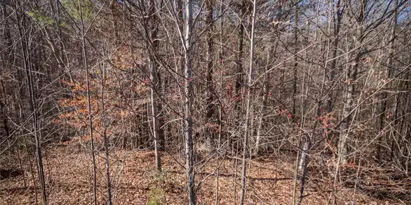 Image 3 Image 3