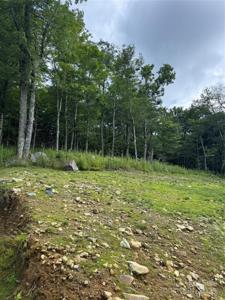 Lot 108 Buena Vista Loop