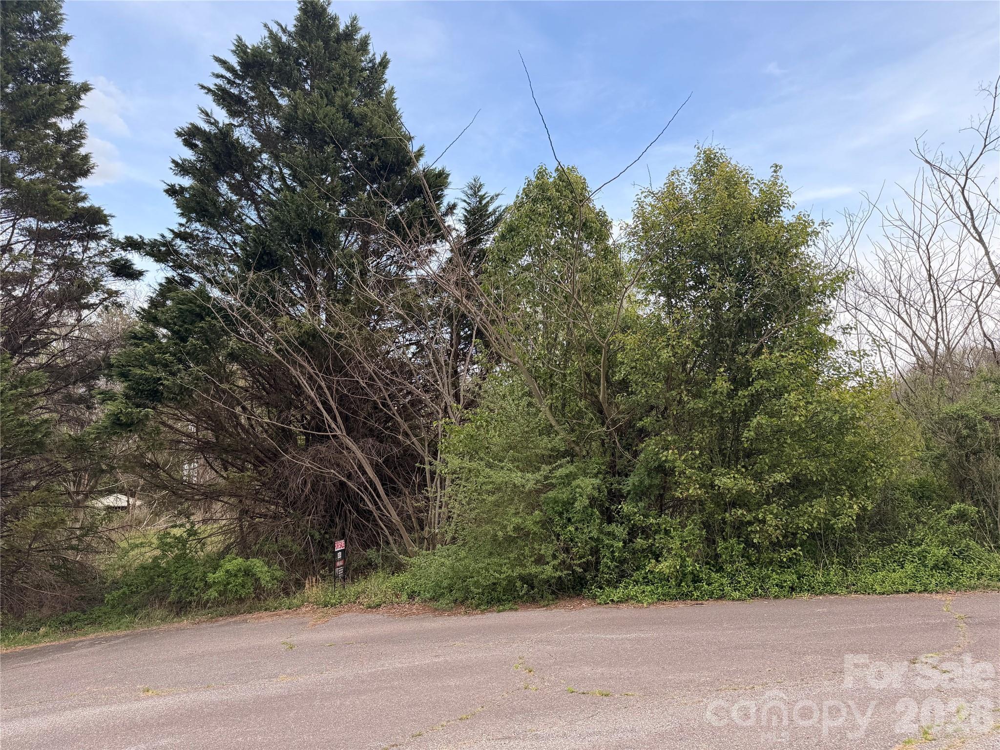 Image 4 Image 4
