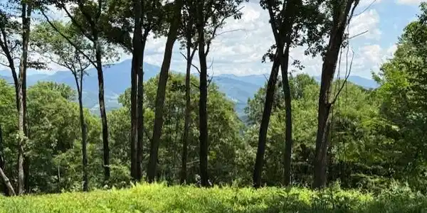 Image 3 Image 3
