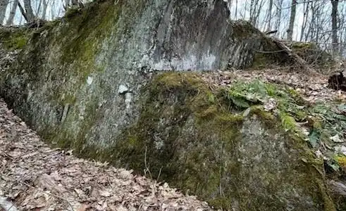 Image 4 Image 4