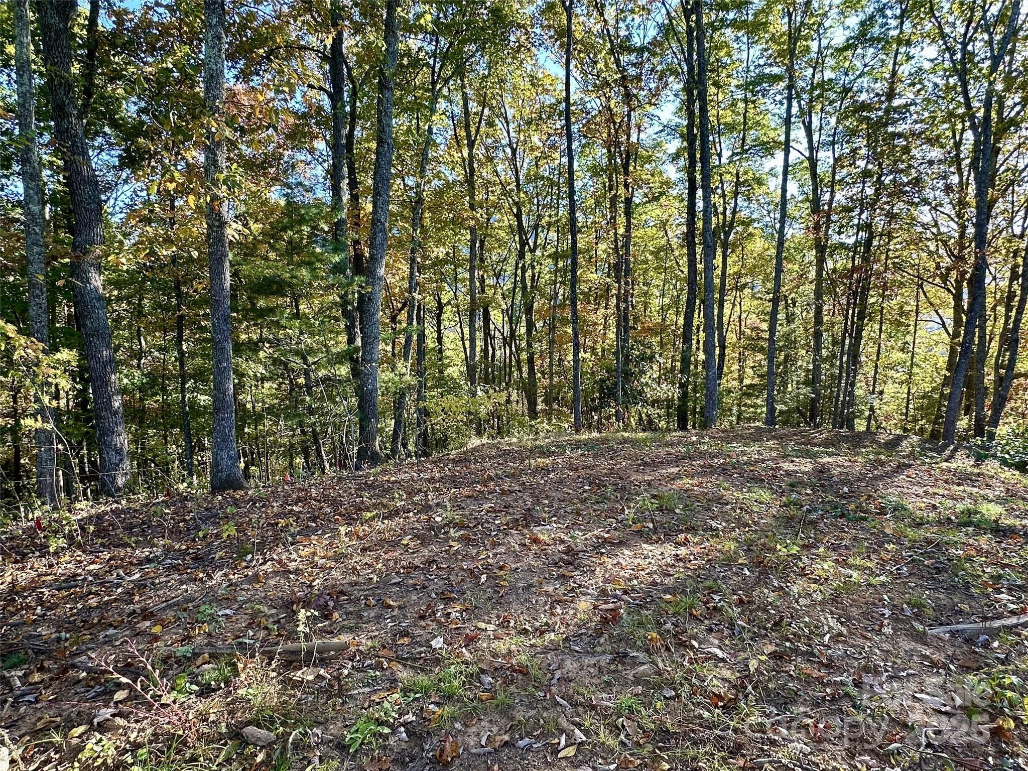 Image 3 Image 3